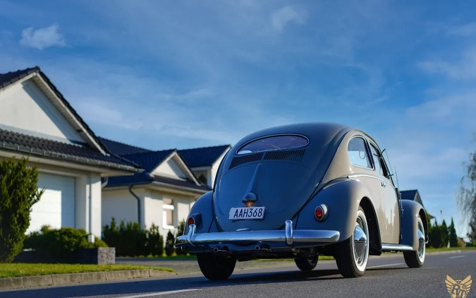 Volkswagen Garbus cena 179000 przebieg: 73845, rok produkcji 1956 z Ostrzeszów małe 742